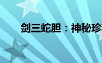 剑三蛇胆：神秘珍稀道具的深度解析