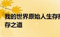 我的世界原始人生存挑战：探索未知，重塑生存之道