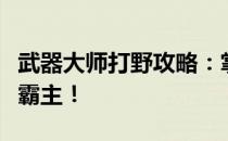 武器大师打野攻略：掌握核心技巧，成为野区霸主！