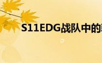 S11EDG战队中的韩国成员数量解析