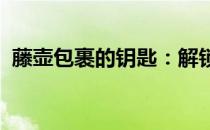 藤壶包裹的钥匙：解锁神秘海底之谜的关卡