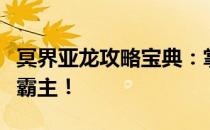 冥界亚龙攻略宝典：掌握关键技巧，成为冥界霸主！