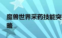 魔兽世界采药技能突破：1300级快速升级攻略