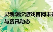 灵魂潮汐游戏官网未开放？详细解读游戏信息与资讯动态