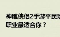 神雕侠侣2手游平民玩家职业选择指南：哪个职业最适合你？