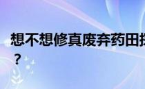 想不想修真废弃药田探索攻略：如何进入药田？