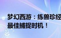 梦幻西游：练兽珍经刷新时间揭秘——打造最佳捕捉时机！