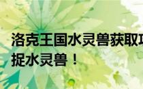 洛克王国水灵兽获取攻略：全方位指南助你捕捉水灵兽！