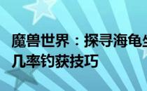 魔兽世界：探寻海龟坐骑的最佳钓鱼地点及高几率钓获技巧