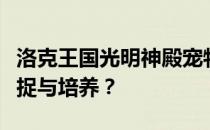 洛克王国光明神殿宠物指南：哪些宠物值得捕捉与培养？