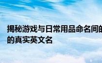 揭秘游戏与日常用品命名间的趣闻——探索监狱建筑师游戏的真实英文名