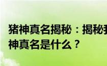 猪神真名揭秘：揭秘我的世界中的神秘人物猪神真名是什么？