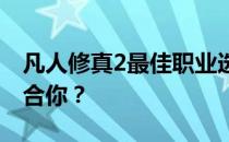 凡人修真2最佳职业选择指南：哪个职业更适合你？