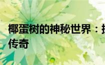 椰蛋树的神秘世界：探索一个与众不同的植物传奇