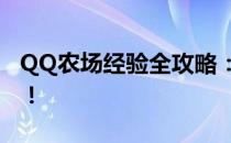 QQ农场经验全攻略：快速提升你的农场等级！