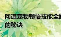 问道宠物顿悟技能全解析：培养最强战斗伙伴的秘诀