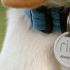 Ring的二维码宠物标签可让您的邻居扫描并返回毛茸茸的朋友