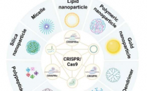 基于纳米技术的 CRISPR/Cas9 传递系统用于癌症治疗中的基因组编辑