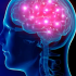 埃隆马斯克的Neuralink获得批准招募人类进行大脑植入试验