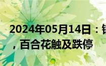 2024年05月14日：钠离子电池概念震荡走低，百合花触及跌停