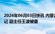 2024年06月03日快讯 内蒙古自治区人大常委会原党组副书记 副主任王波被查