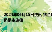 2024年06月15日快讯 猪企乐观展望下半年行情，降本增效仍是主旋律