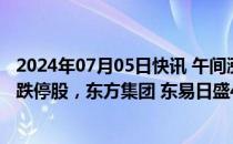 2024年07月05日快讯 午间涨跌停股分析：34只涨停股 2只跌停股，东方集团 东易日盛4连板