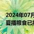 2024年07月07日快讯 全国夏粮已收96.2% 夏播粮食已播83.1%