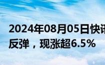 2024年08月05日快讯 日经225指数期货持续反弹，现涨超6.5%