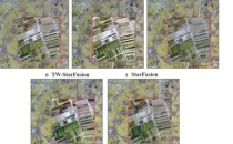 转化卫星图像精准农业的创新融合方法