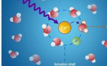 新方法揭示溶剂化壳的隐秘世界