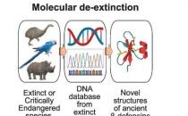 研究人员通过分子去灭绝发现新的抗感染分子