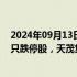 2024年09月13日快讯 今日涨跌停股分析：47只涨停股 15只跌停股，天茂集团11天8板，保变电气10天7板