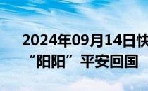 2024年09月14日快讯 旅奥大熊猫“园园”“阳阳”平安回国