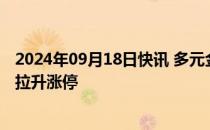 2024年09月18日快讯 多元金融概念股异动，九鼎投资直线拉升涨停