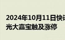 2024年10月11日快讯 房地产板块震荡拉升，光大嘉宝触及涨停