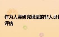 作为人类研究模型的非人灵长类自发性盆腔器官脱垂的综合评估