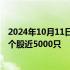 2024年10月11日快讯 深证成指失守10000点位，三市下跌个股近5000只