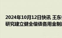 2024年10月12日快讯 王东伟：深入探索专项债提前偿还，研究建立健全偿债备用金制度