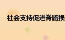 社会支持促进脊髓损伤后小鼠的康复参与