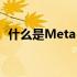 什么是Meta Verified费用是多少如何获得