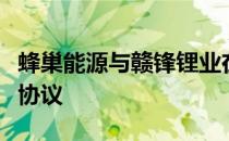 蜂巢能源与赣锋锂业在上饶签署战略合作框架协议