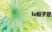 la帽子是什么牌子