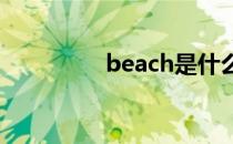 beach是什么意思骂人的