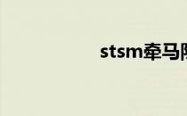 stsm牵马队什么意思