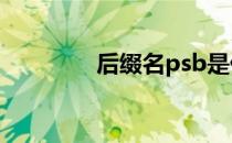 后缀名psb是什么格式文件