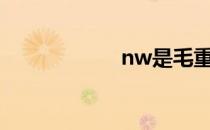 nw是毛重还是净重