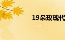 19朵玫瑰代表什么意思