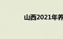 山西2021年养老金上调方案