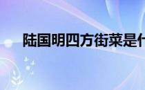 陆国明四方街菜是什么电视剧是哪一集